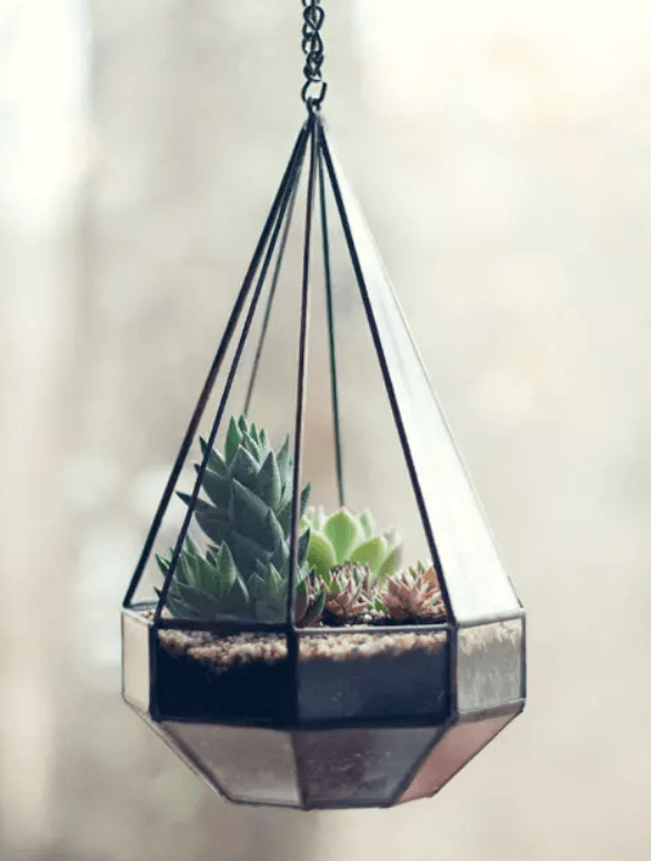 hanging terrarium